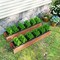 Wooden Raised Garden Bed with Drainage Holes for Vegetable Flower Herb Succulent
